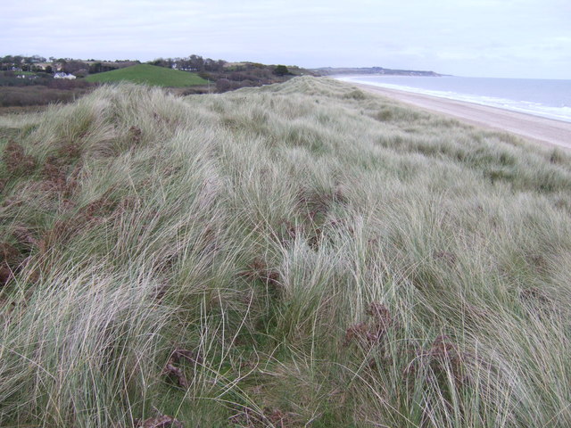 Top of the dunes - view north