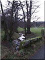 A tributary of the Pollagach Burn