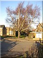 Footpath off Shannon Rd, Rastrick