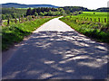 The road near Balladrum forest