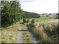 Track in Strathbraan