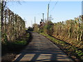 View along lane in Westmarsh