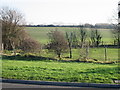 View across the fields from Wigmore Lane