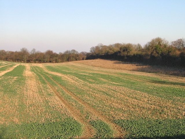 Field near Eythorne