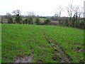 Aghaboy Townland