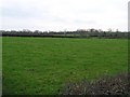 Drumanaway Townland