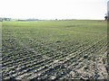 Footpath across the fields, Little Mongeham