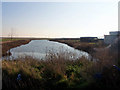 Joan Fleet, Rushenden Marshes