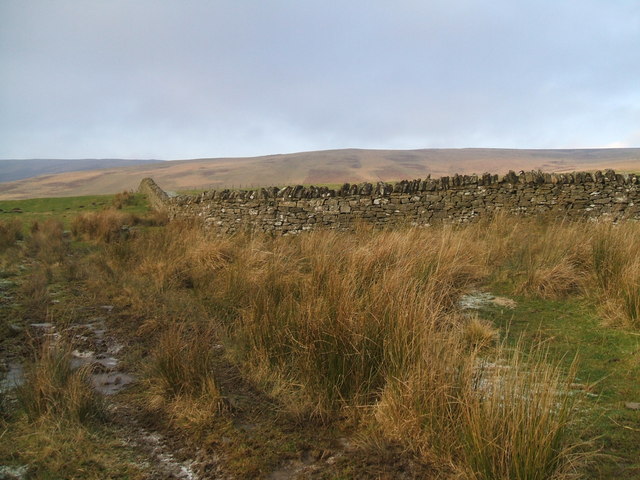 A drystone wall at Cottonshope Head
