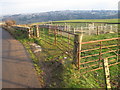 Sheepfold by Kirkfield Road looking towards Lanark