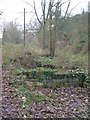 Holme Lacy Station - foundations of station buildings