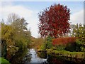 Eardisland Autumn colours