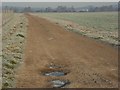 Farm track, Waltham St Lawrence