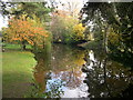 Reflected trees, Eardisland