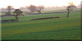 SU6762 : Farmland, Stratfield Saye by Andrew Smith