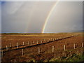 NF7961 : Rainbow over Baleshare by Jac Volbeda