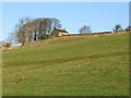 Pastures below Stone Hall