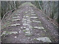 Grosmont Tramroad