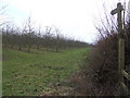 Footpath to Marston Farm