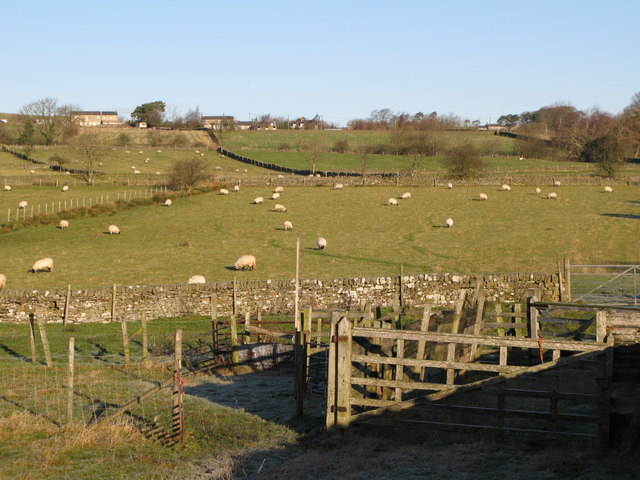 Sheepfold © Mike Quinn Geograph Britain And Ireland