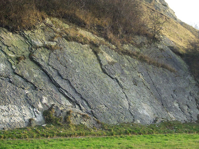 Silurian Limestone Slabs, Wren's Nest, Dudley