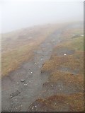 NN5637 : Path, Creag na Caillich by Richard Webb