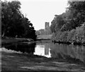 Fountains Abbey, seen over the water