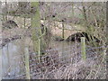 Bridge - inflow of Wellesley lake