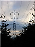 NO7991 : Pylons looking south, Durris Forest by Alan Findlay
