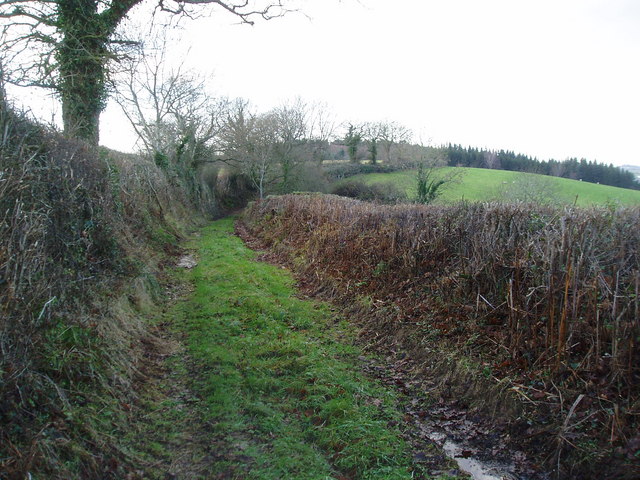 Muddy country Track