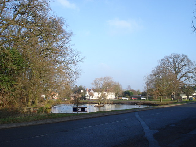 The pond at Hanley Swan