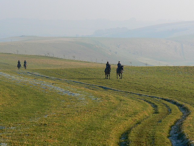 The Ridgeway and horses, Smeathe's Ridge, Barbury