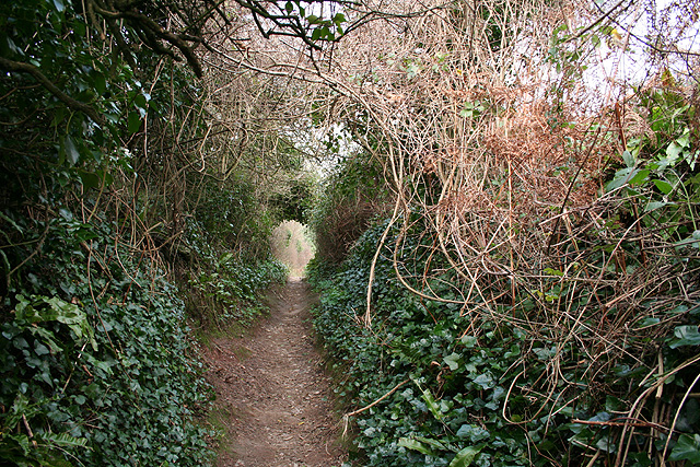 Holbeton: path from Meadowsfoot Beach