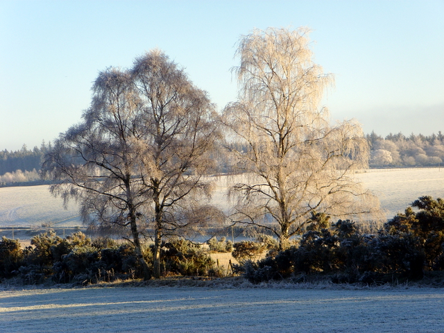 Near Glachbeg, on a frosty morning.