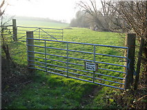 SO8044 : Pasture at Woodbridge Farm by Trevor Rickard