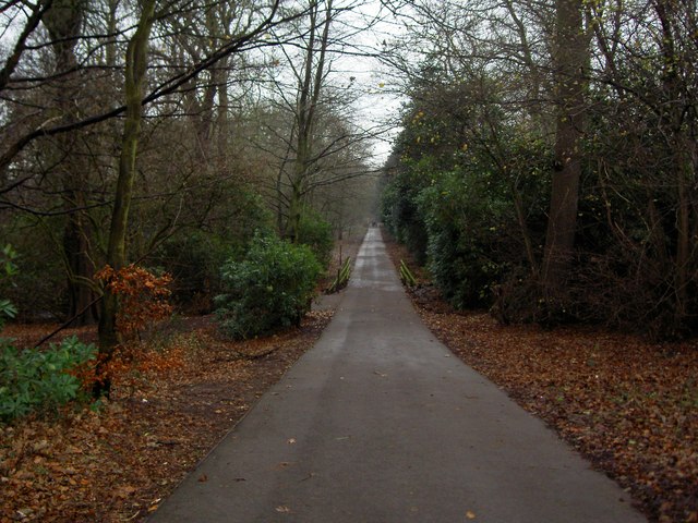 Path through Arrowe Country Park