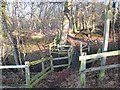 Footbridge near Hill House