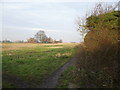 Footpath to Ham Marshes