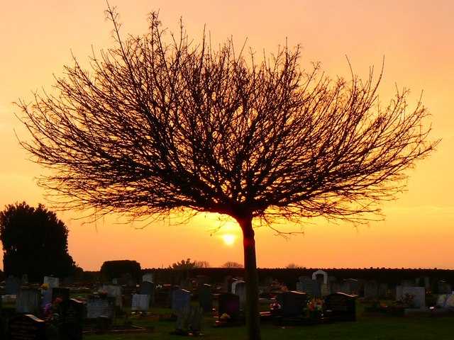 Highworth cemetery at the winter solstice