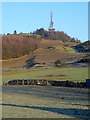 Meikle Barncleugh Hill