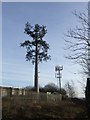 Telecoms masts on Bushbury Hill