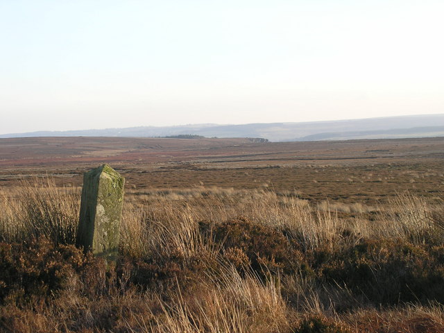 Boundary stone on Brown Rigg