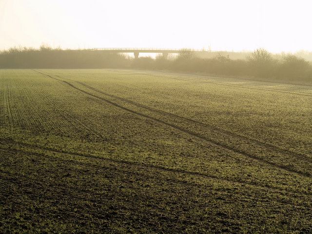 A Frosty Field south of Hedon