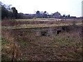 Watercress beds, Newington