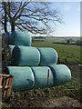 Silage bales at Plusha