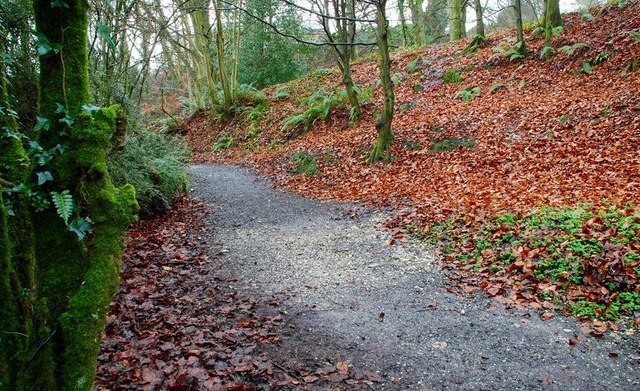 Path to Glenoe Glen