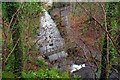 Footbridge, Glenoe Glen (5)