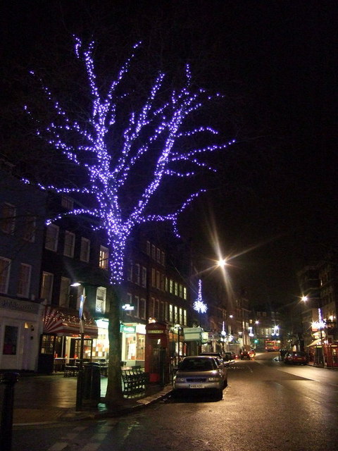 Hampstead Christmas tree