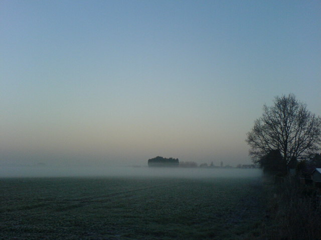 Mist on the Moss