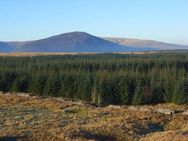 Greystoke Forest Andrew Smith cc by sa 2.0 Geograph Britain